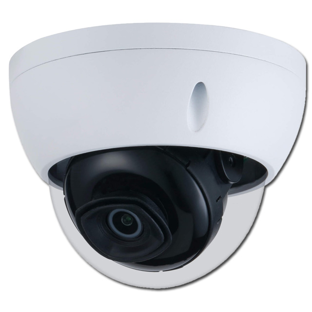 Goliath IP Überwachungskamera