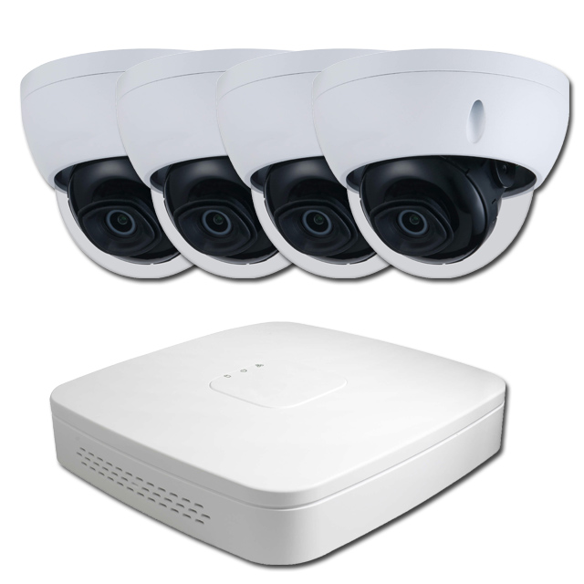 GOLIATH Starlight Dome Überwachungskamera